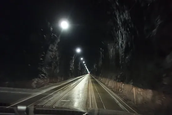 40 Bin Yıllık Uykudan Uyanış: Donmuş Mikroplar Yeniden Canlandı