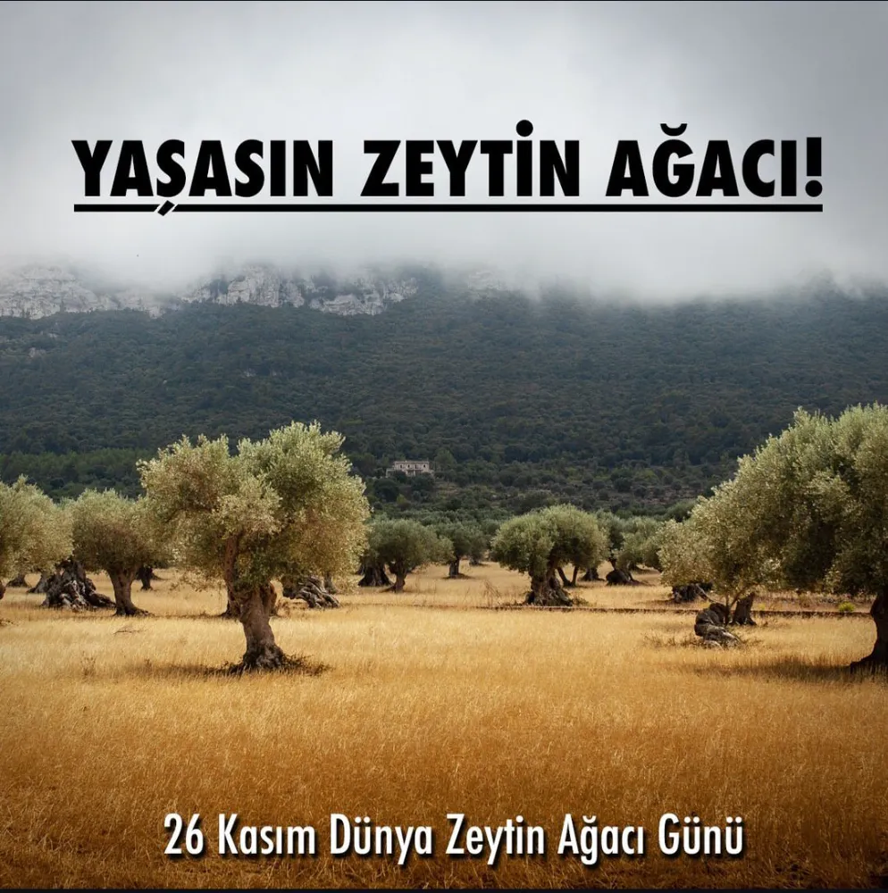 26 Kasım, Bugün 