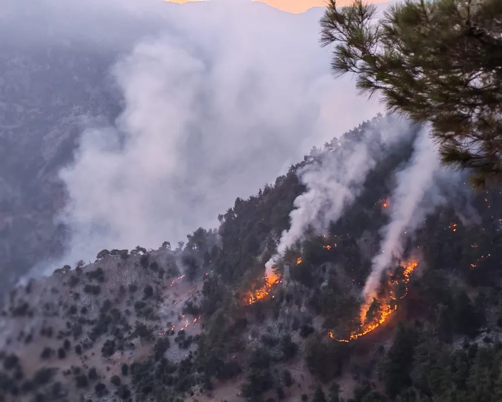 Adana’da Ormanları Yakan 3 Kundakçı TB2’den Kaçamadı; Tutuklandılar!