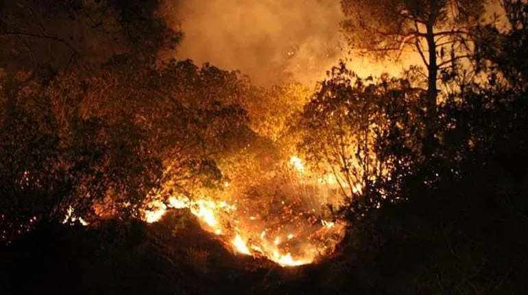 Ramazan Tolga Yolyapan: “Küresel Elitler, Siyonistler, Ormanları ve İnsanlığı Hedef Alıyor”
