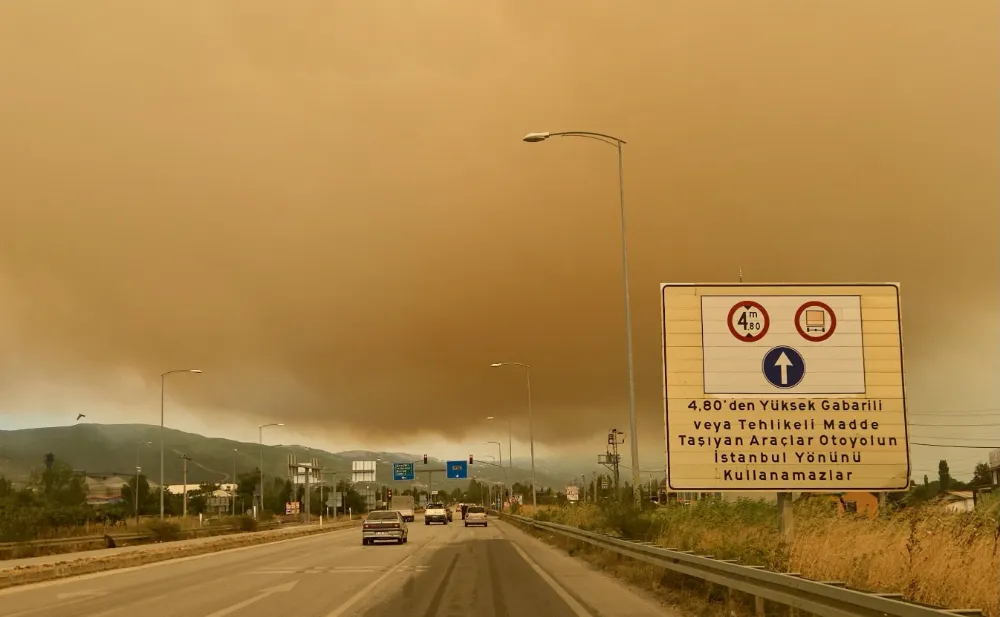 Kocaeli’de Orman Yangını: Alevler Yerleşim Yerlerine Dayandı